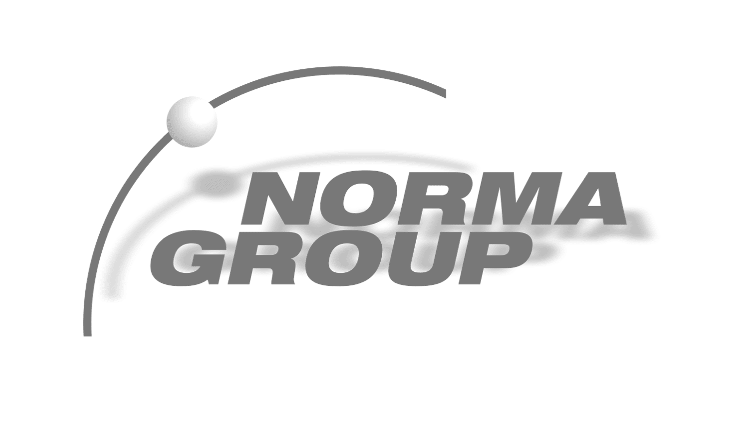 NormaGroup
